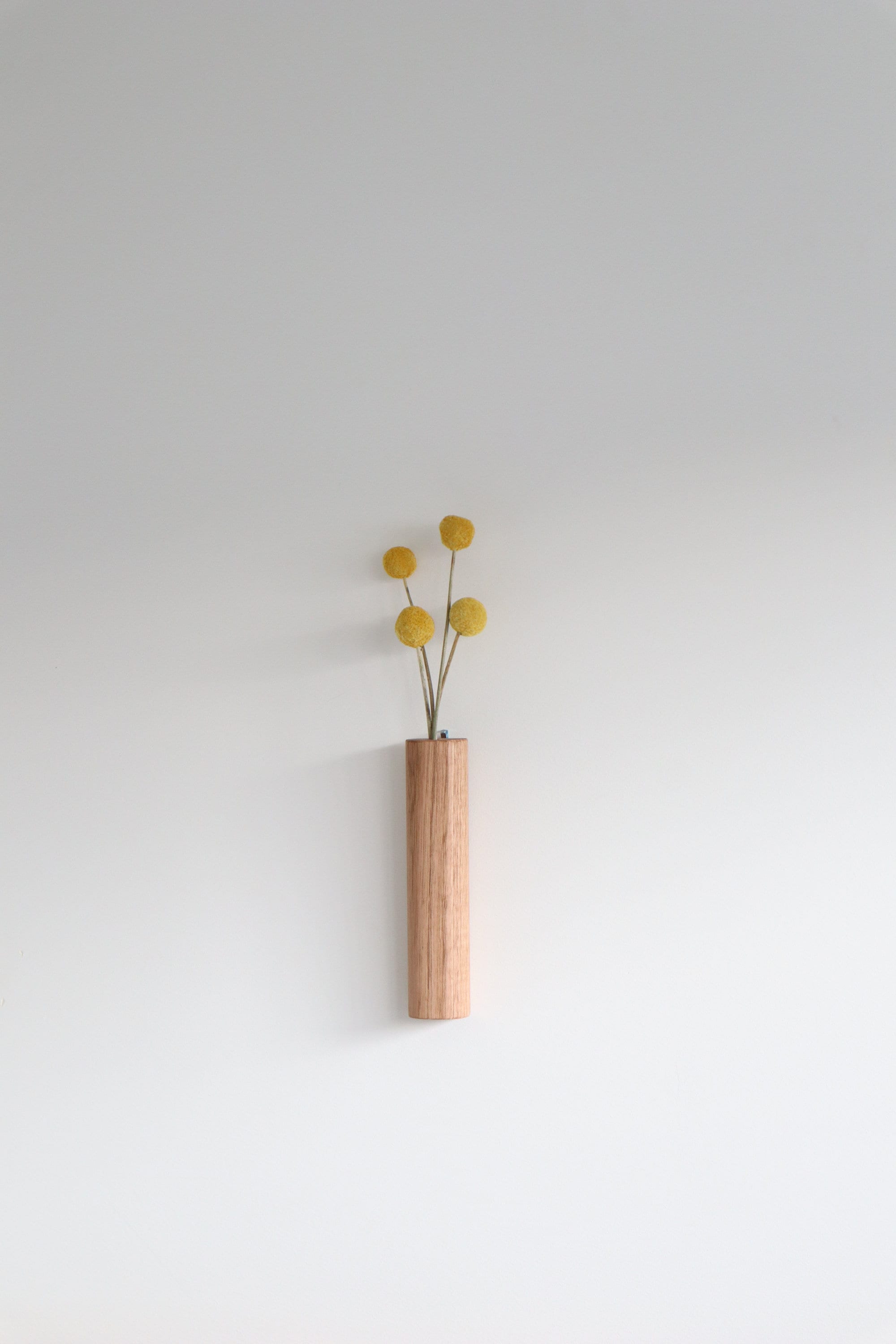 Wall Mounted Stem Bar - Medium