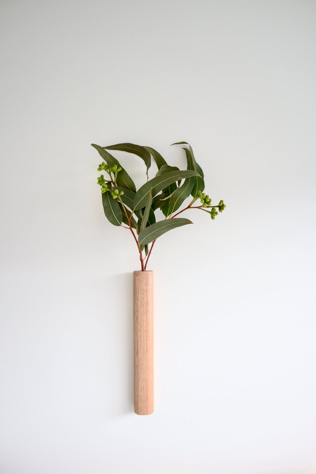 Wall Mounted Stem Bar - Large