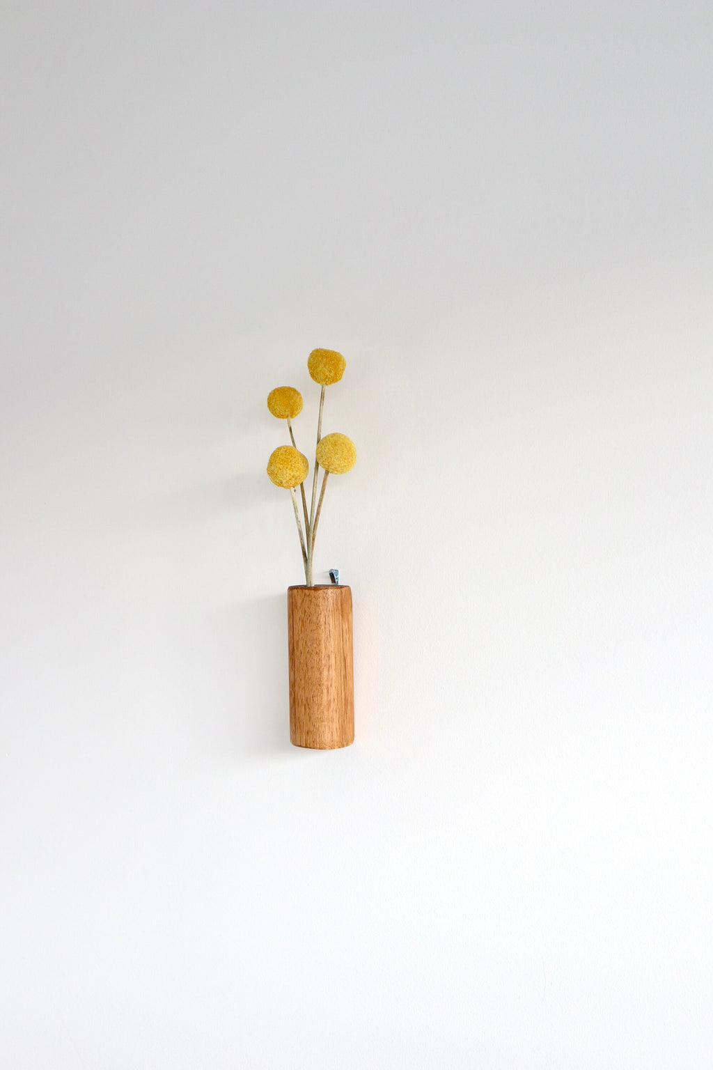 Wall Mounted Stem Bar - Small