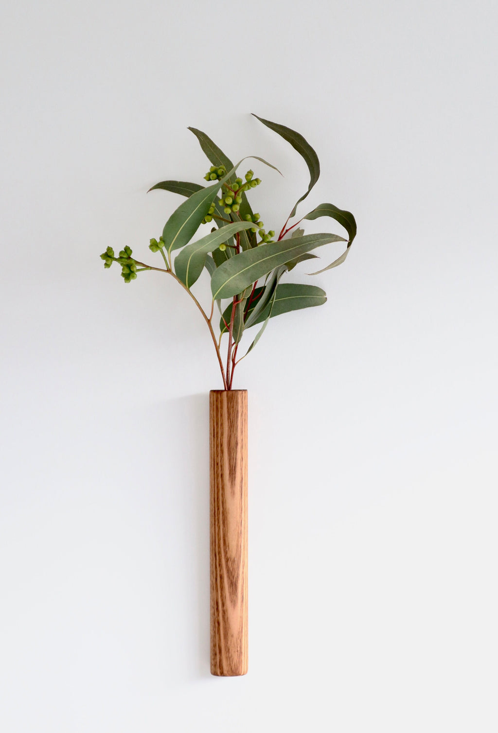 Wall Mounted Stem Bar - Large